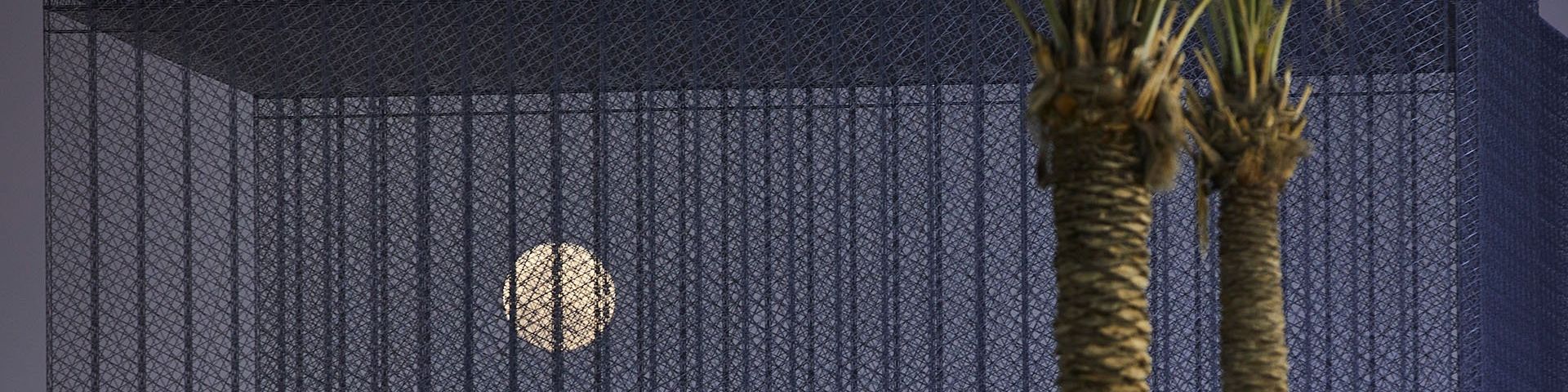 A full moon against a dark blue sky can be seen through what appears to be black mesh. To the right and in front of the mesh are the trunks of two palm-like trees.